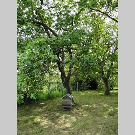 Miller'S Farm. Cottage On The Auhtie For 2 Hem-Hardinval ภายนอก รูปภาพ